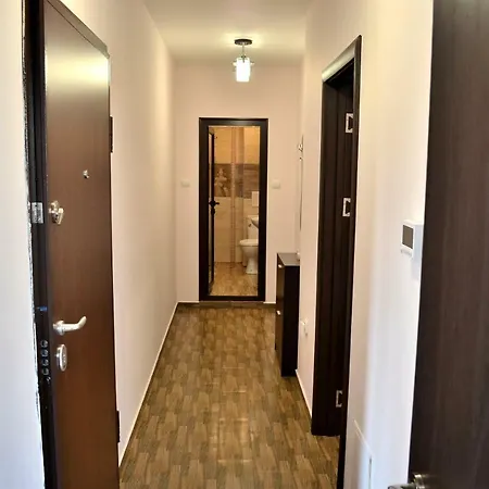 Central Apartment